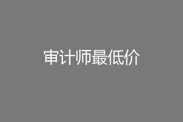 审计师最低价