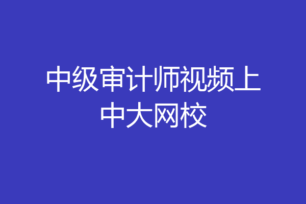 中级审计师视频上中大网校