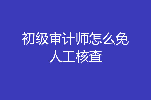初级审计师怎么免人工核查