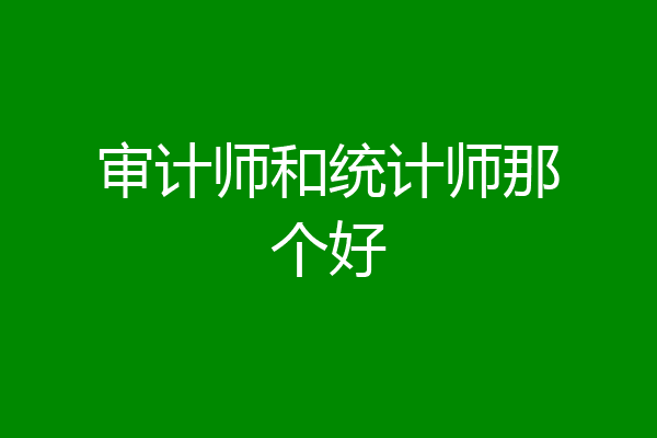审计师和统计师那个好