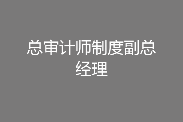 总审计师制度副总经理