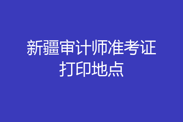 新疆审计师准考证打印地点