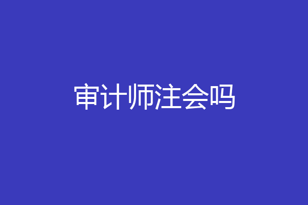 审计师注会吗