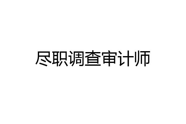 尽职调查审计师