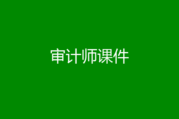 审计师课件