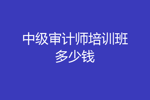 中级审计师培训班多少钱