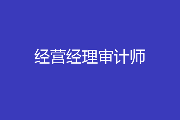 经营经理审计师