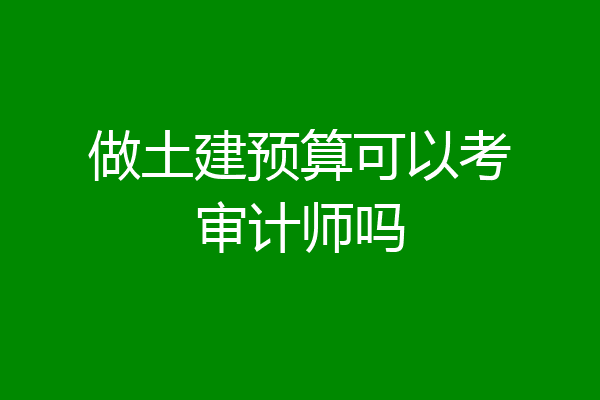 做土建预算可以考审计师吗