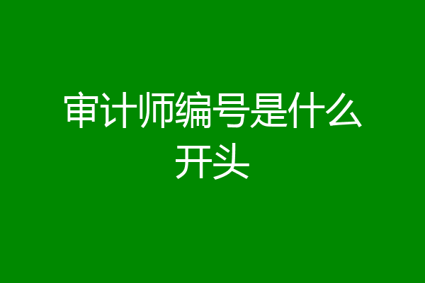 审计师编号是什么开头
