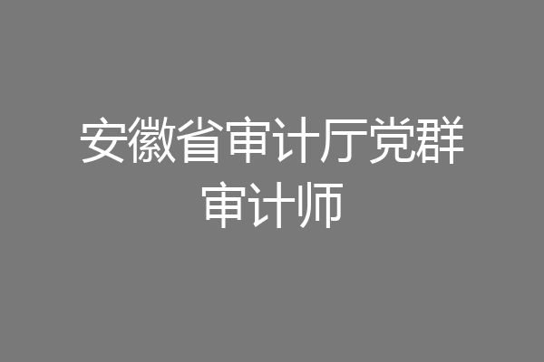 安徽省审计厅党群审计师