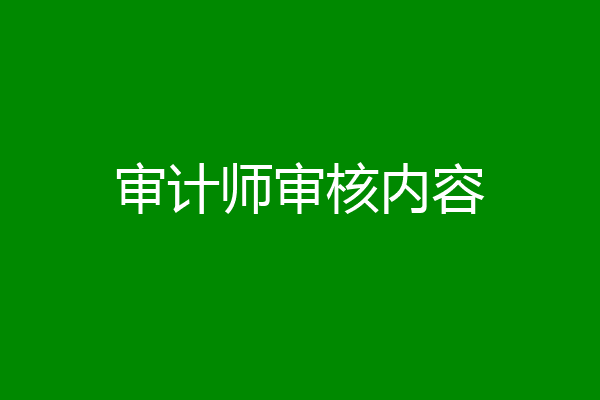 审计师审核内容