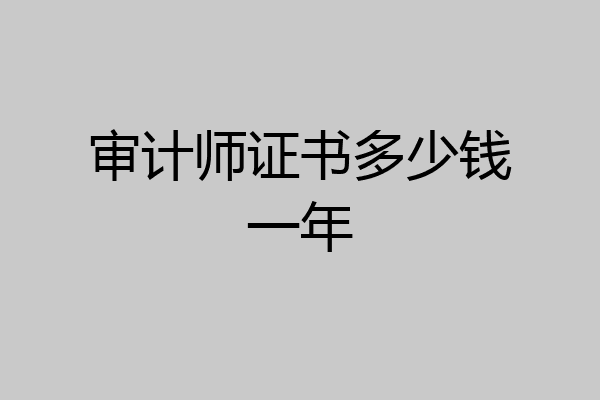 审计师证书多少钱一年