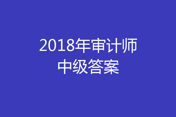 2018年审计师中级答案