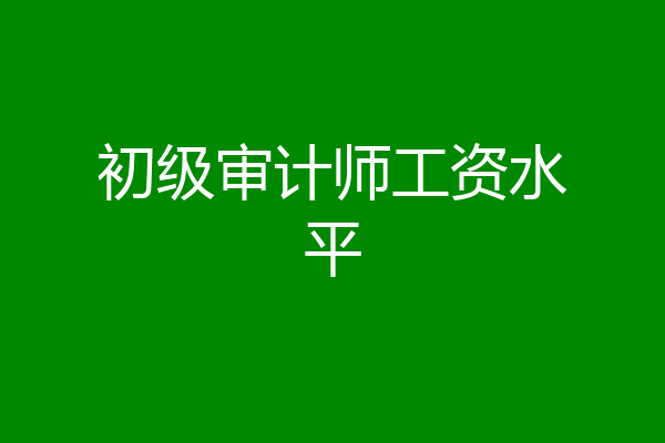 初级审计师工资水平