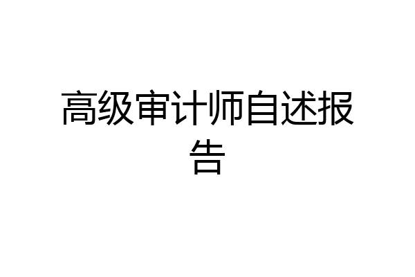 高级审计师自述报告