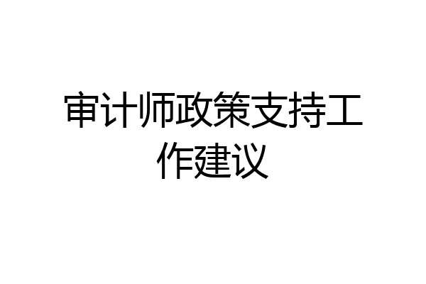 审计师政策支持工作建议