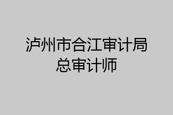 泸州市合江审计局总审计师
