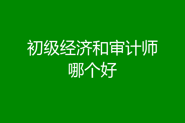 初级经济和审计师哪个好