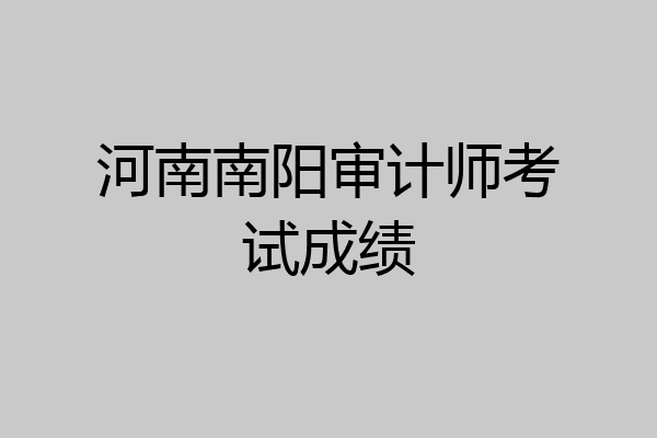 河南南阳审计师考试成绩