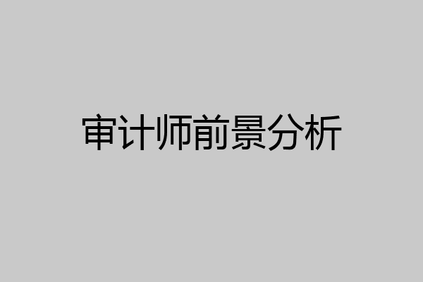 审计师前景分析