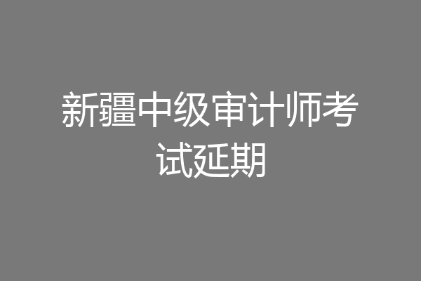 新疆中级审计师考试延期