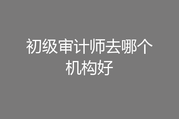 初级审计师去哪个机构好