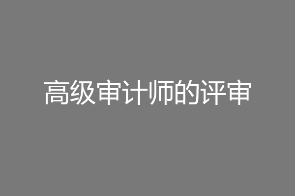 高级审计师的评审