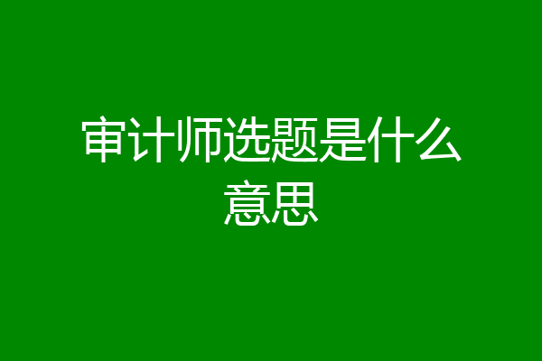 审计师选题是什么意思
