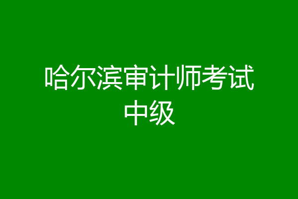哈尔滨审计师考试中级
