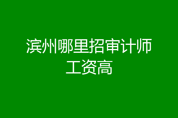 滨州哪里招审计师工资高