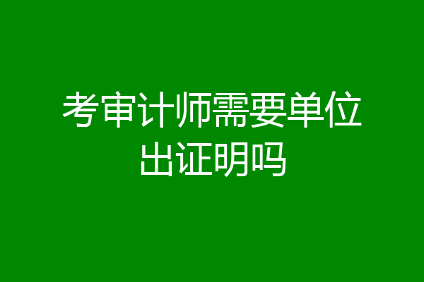 考审计师需要单位出证明吗