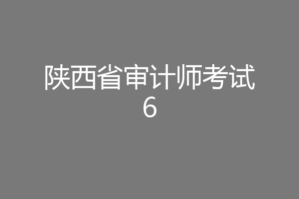 陕西省审计师考试6