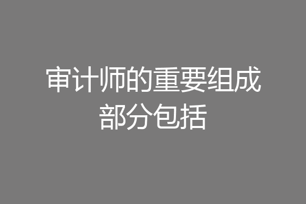 审计师的重要组成部分包括