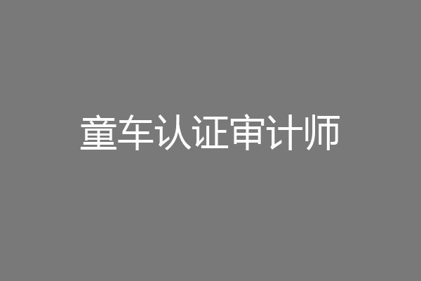 童车认证审计师