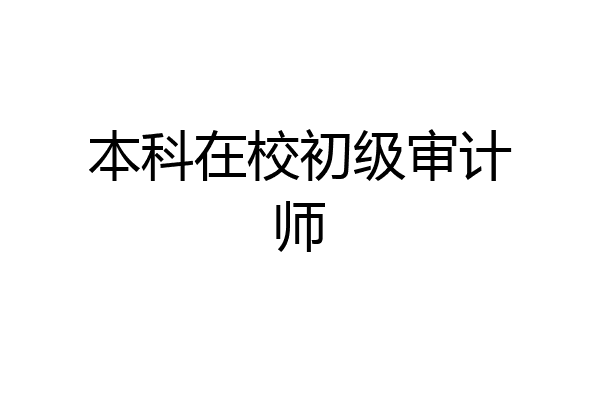 本科在校初级审计师