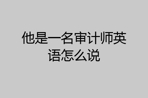 他是一名审计师英语怎么说