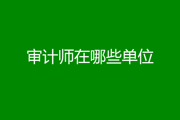 审计师在哪些单位