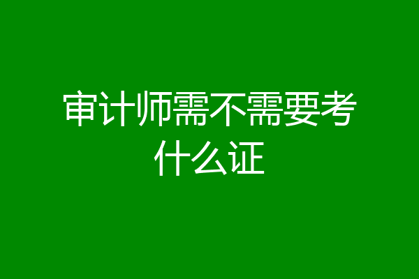 审计师需不需要考什么证