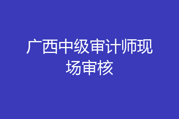 广西中级审计师现场审核