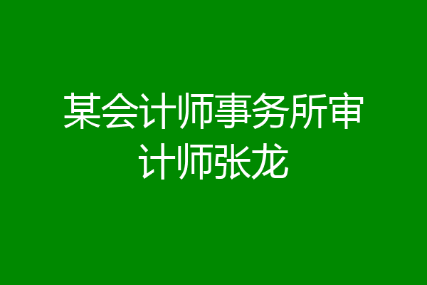 某会计师事务所审计师张龙