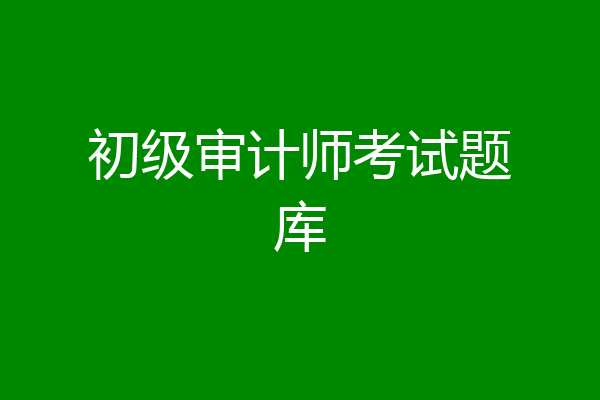 初级审计师考试题库