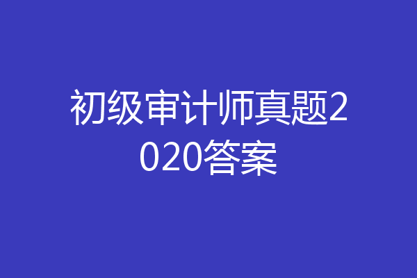 初级审计师真题2020答案