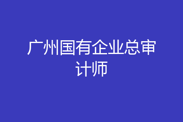广州国有企业总审计师