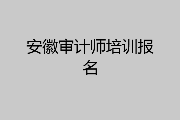 安徽审计师培训报名