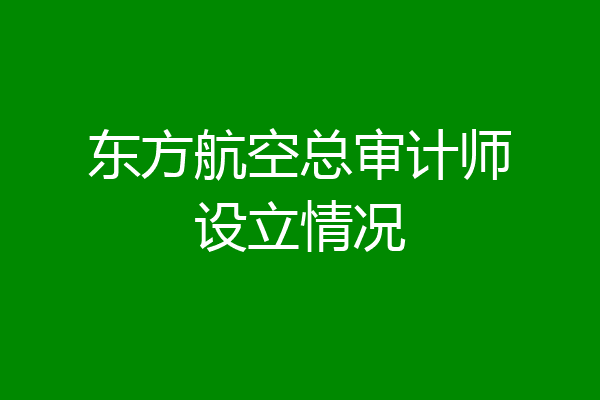 东方航空总审计师设立情况