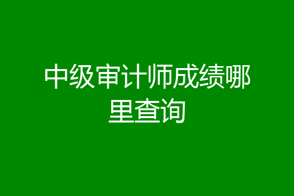 中级审计师成绩哪里查询