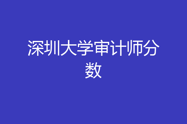深圳大学审计师分数