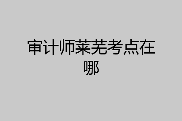 审计师莱芜考点在哪