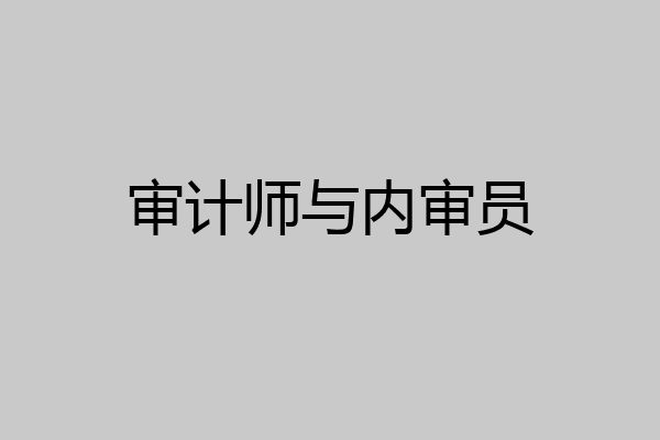 审计师与内审员