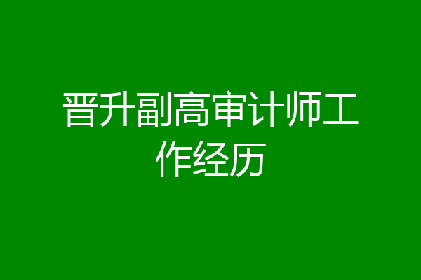 晋升副高审计师工作经历